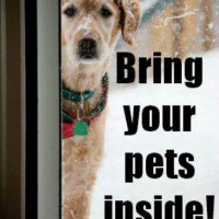 If you are cold, they are cold--who's bringing them inside?