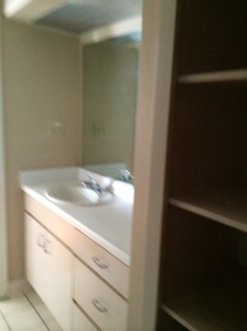 Aub's sink is in my closet.  This tickles me so much. 